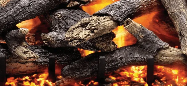 Heatmaster Blue Ridge Blaze 30-Inch Vented Log Sets BRB30