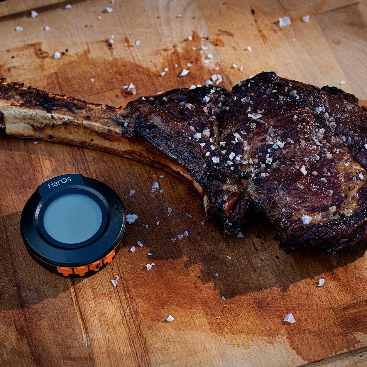 HerQs Dome Meat Thermometer