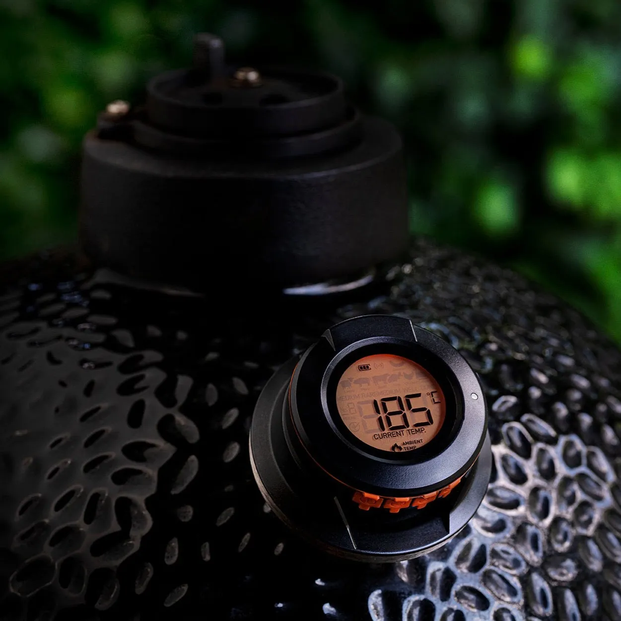 HerQs Dome Meat Thermometer