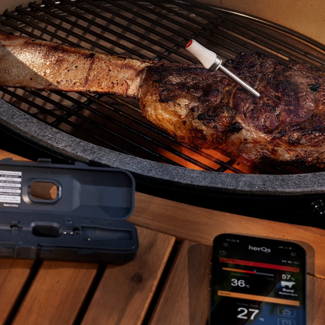 HerQs Pin Probe HERQS006 Wireless Smart Meat Thermometer