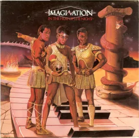 Imagination - In The Heat Of The Night (LP, Album) (VG)