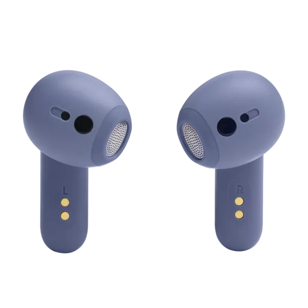 JBL Live Flex Blue