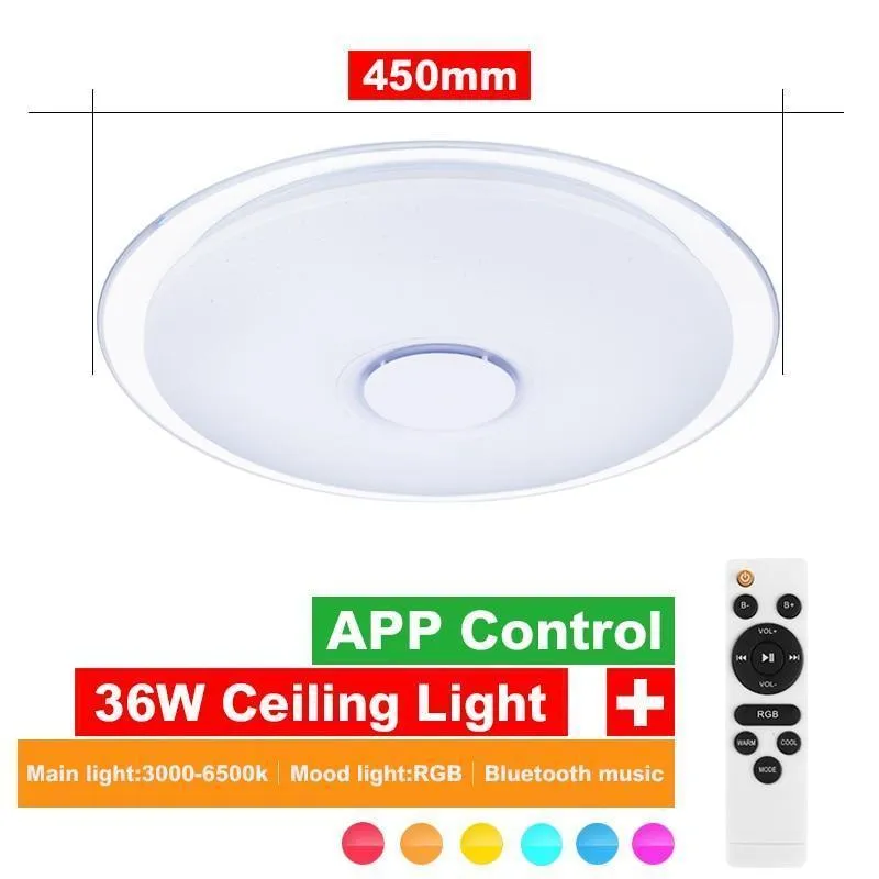 Smart RGB Ceiling Light