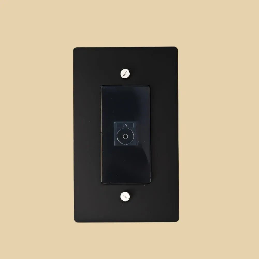 The Brass TV Socket (1-Gang)