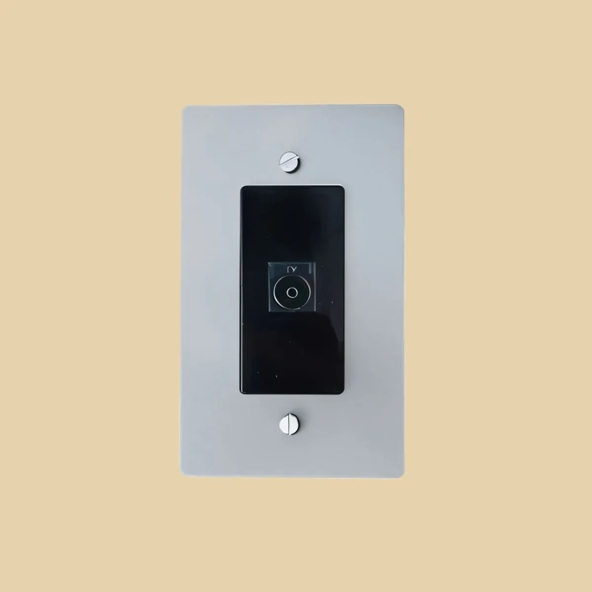 The Brass TV Socket (1-Gang)