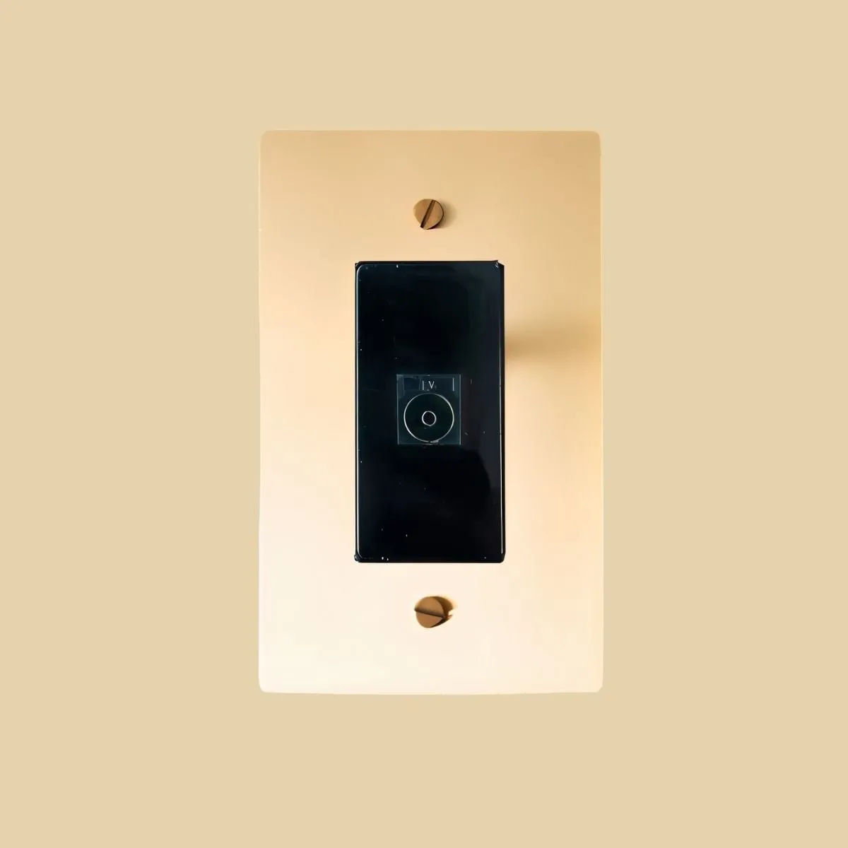 The Brass TV Socket (1-Gang)