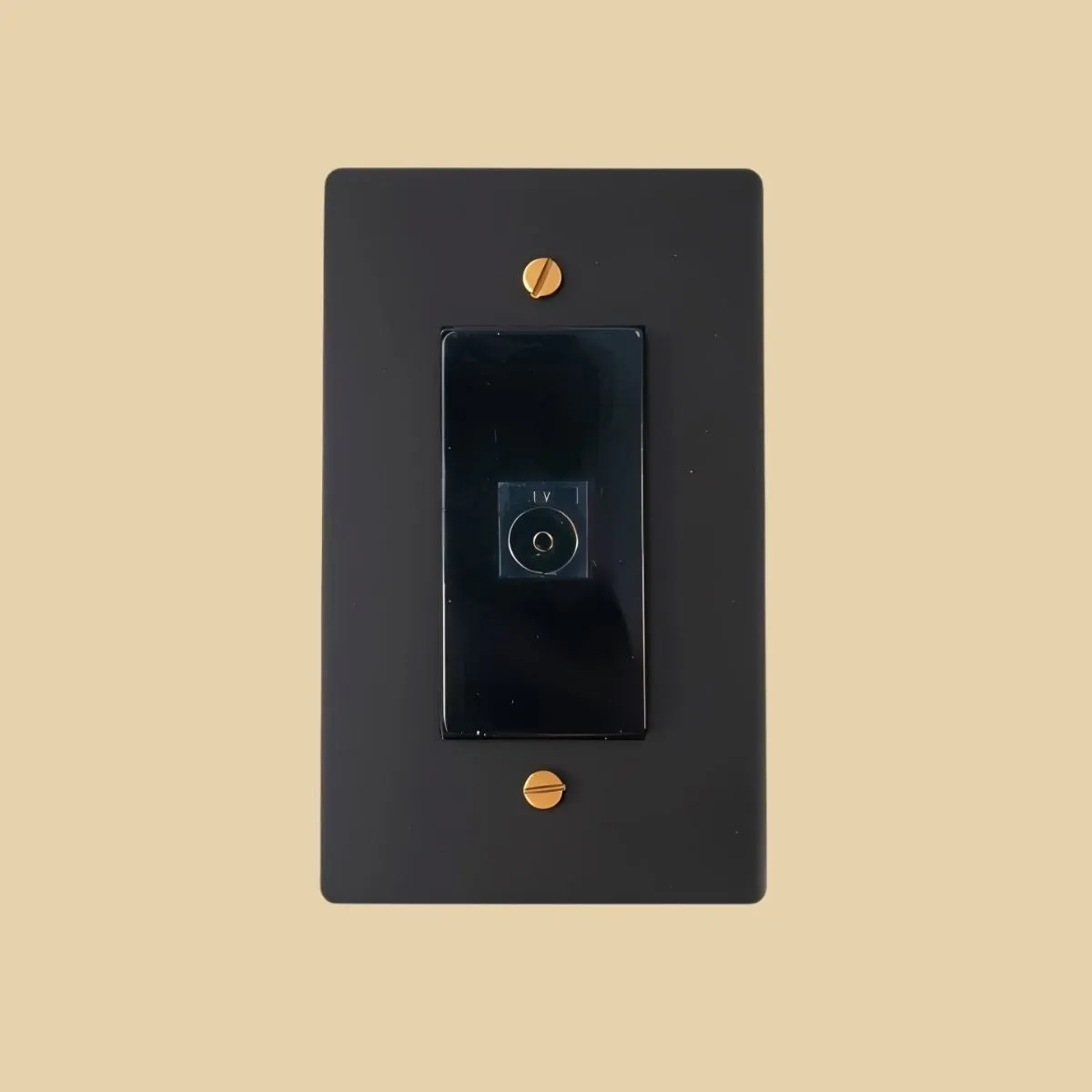 The Brass TV Socket (1-Gang)
