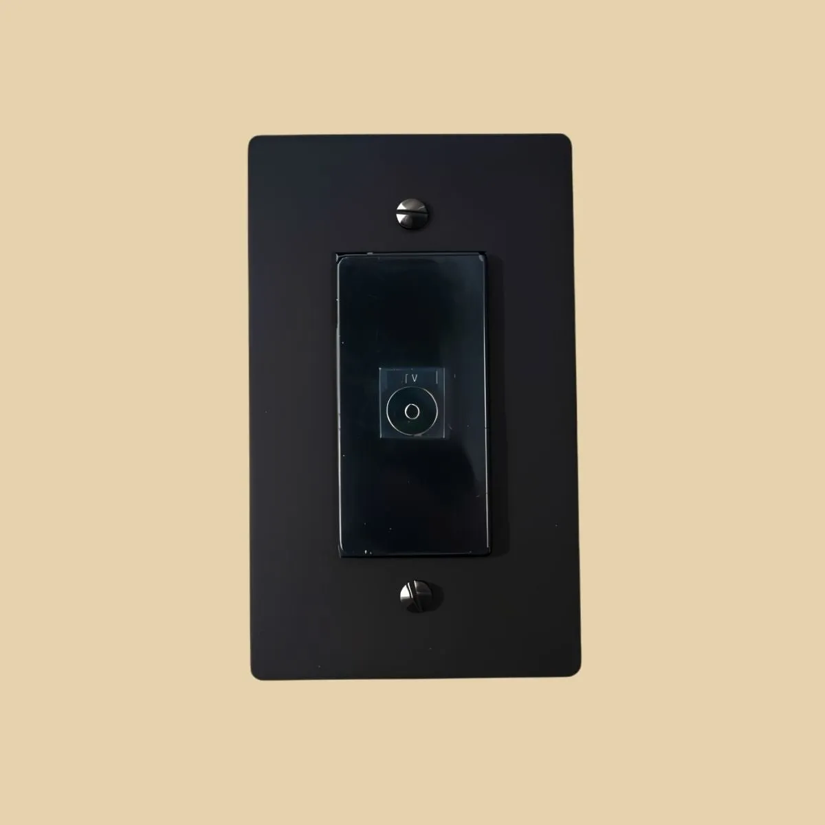 The Brass TV Socket (1-Gang)