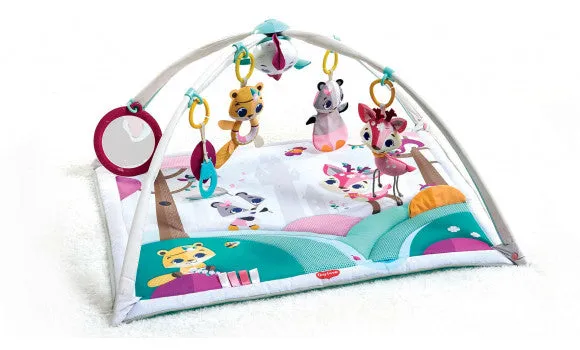 Tiny Love Princess Tales Gymini