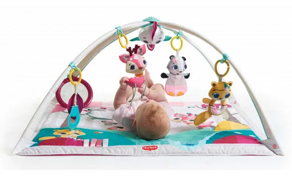 Tiny Love Princess Tales Gymini