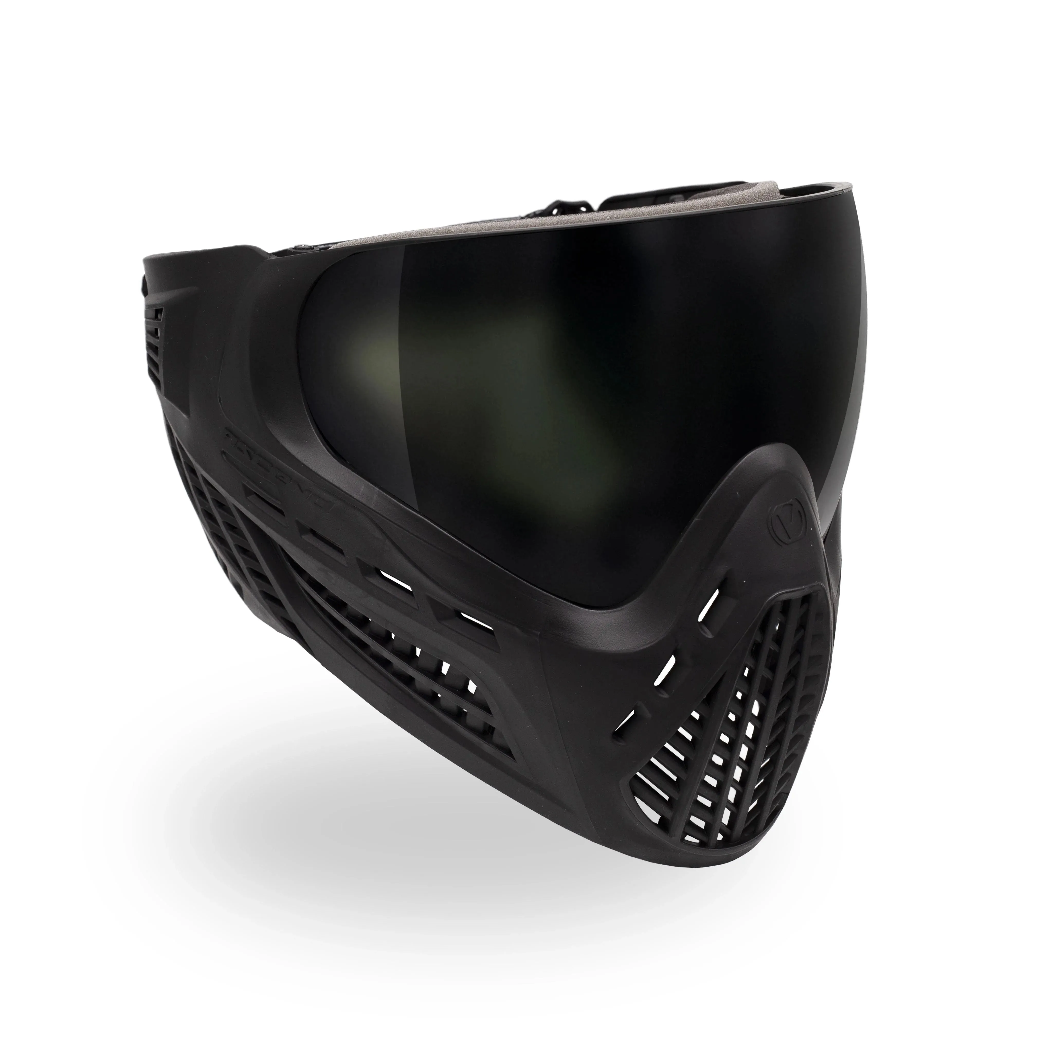 Virtue Vio Ascend Goggle - Black